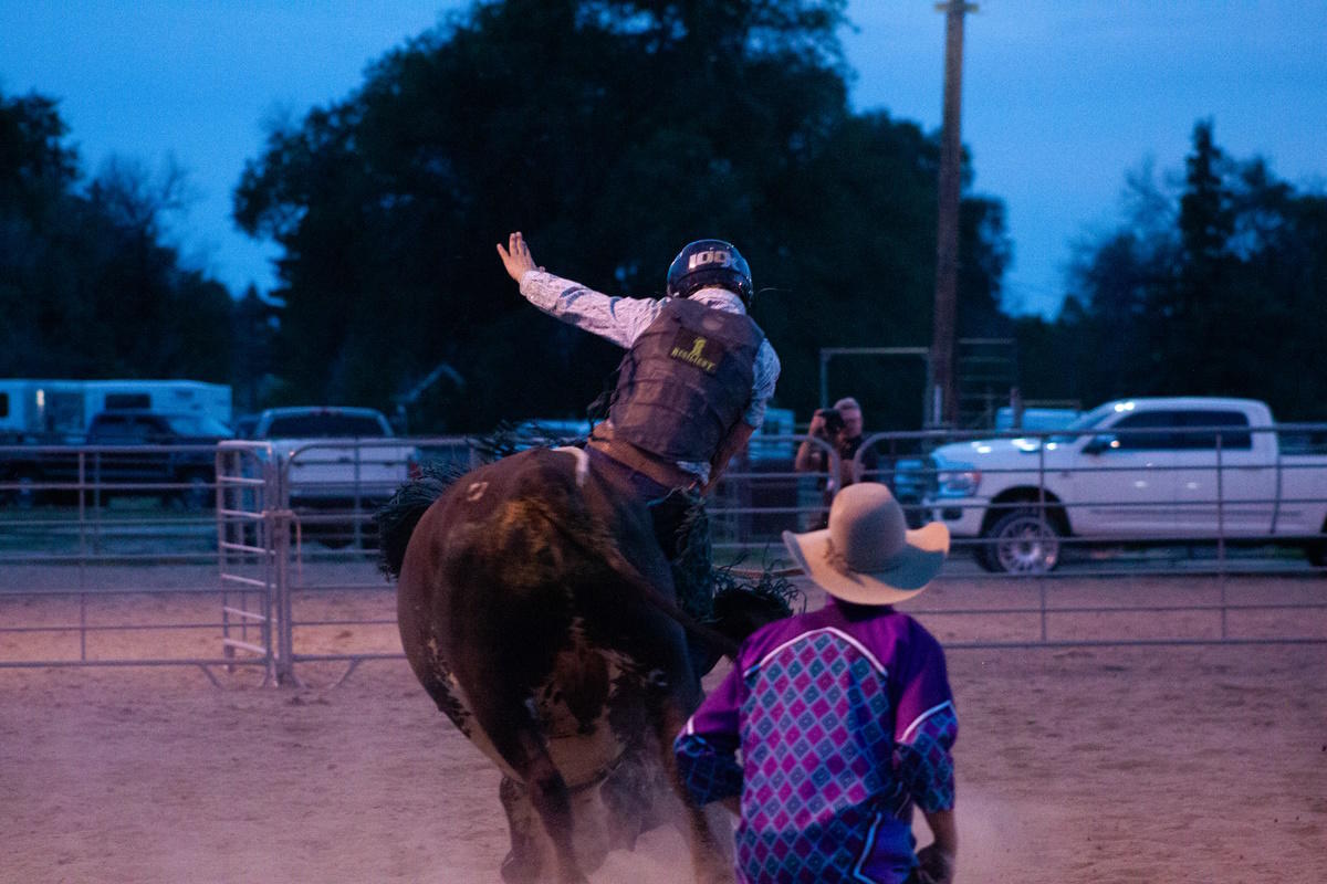 Cowboy riding a bull at a rodeo